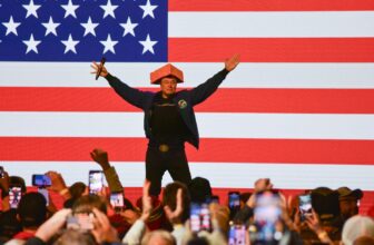 Elon Musk Is Annoying, Unfunny, and Ought to In all probability Take a Drug Take a look at, Trump Officers Reportedly Say