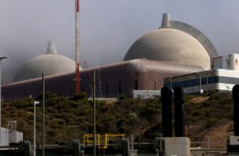 For the First Time, Synthetic Intelligence Is Being Used at a Nuclear Energy Plant