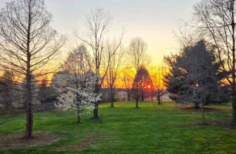 The Little Issues E-newsletter #464 – Life, laughter, and many nice meals!