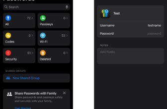 The right way to use the Apple Passwords app