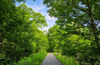 The Little Issues E-newsletter #471 – Life, laughter, and plenty of nice meals!