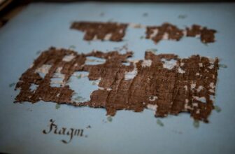 AI Identifies Creator of Charred Scroll Buried by Vesuvius for two,000 Years