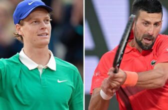 Easy methods to Watch Sinner vs Djokovic Stay on a Free Channel