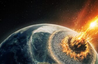 Migration’ Suggests Possibly Surviving That Killer Comet Wasn’t the Finest End result