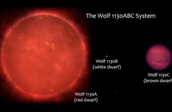 ‘Failed Star’ Mimics a Key Signal of Life, Complicating Our Seek for Aliens