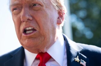 TikTok’s MAGA Overlords Return to Their Conquered Territory